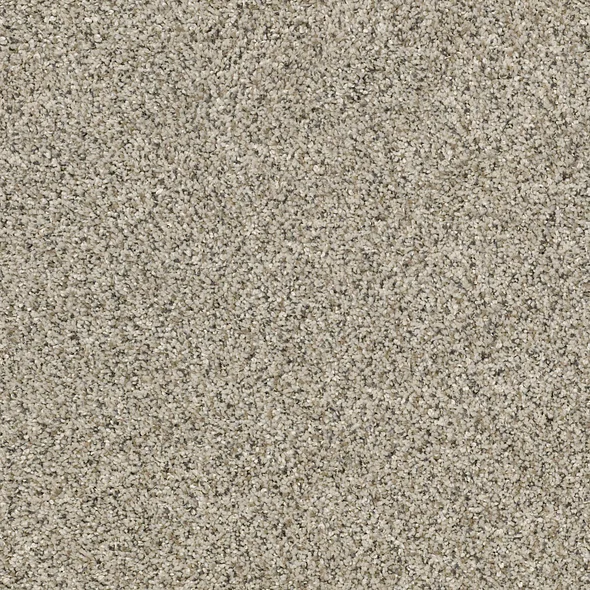 River Rock Carpet Swatch and Room Scene