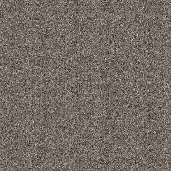 Coffee Carpet Swatch and Room Scene